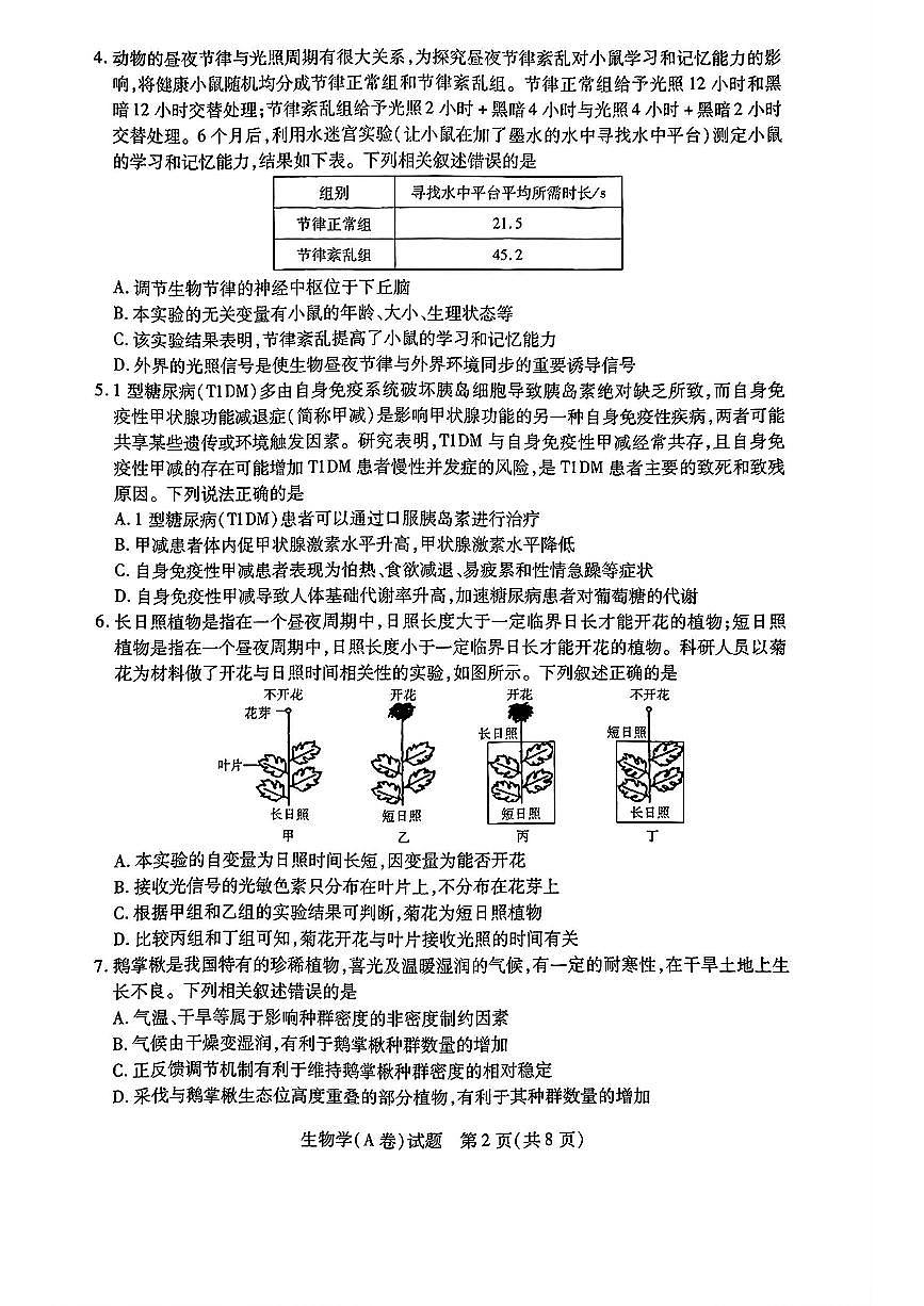 天一大联考2024-2025高中毕业班阶段性测试（四）生物试卷及答案第2页