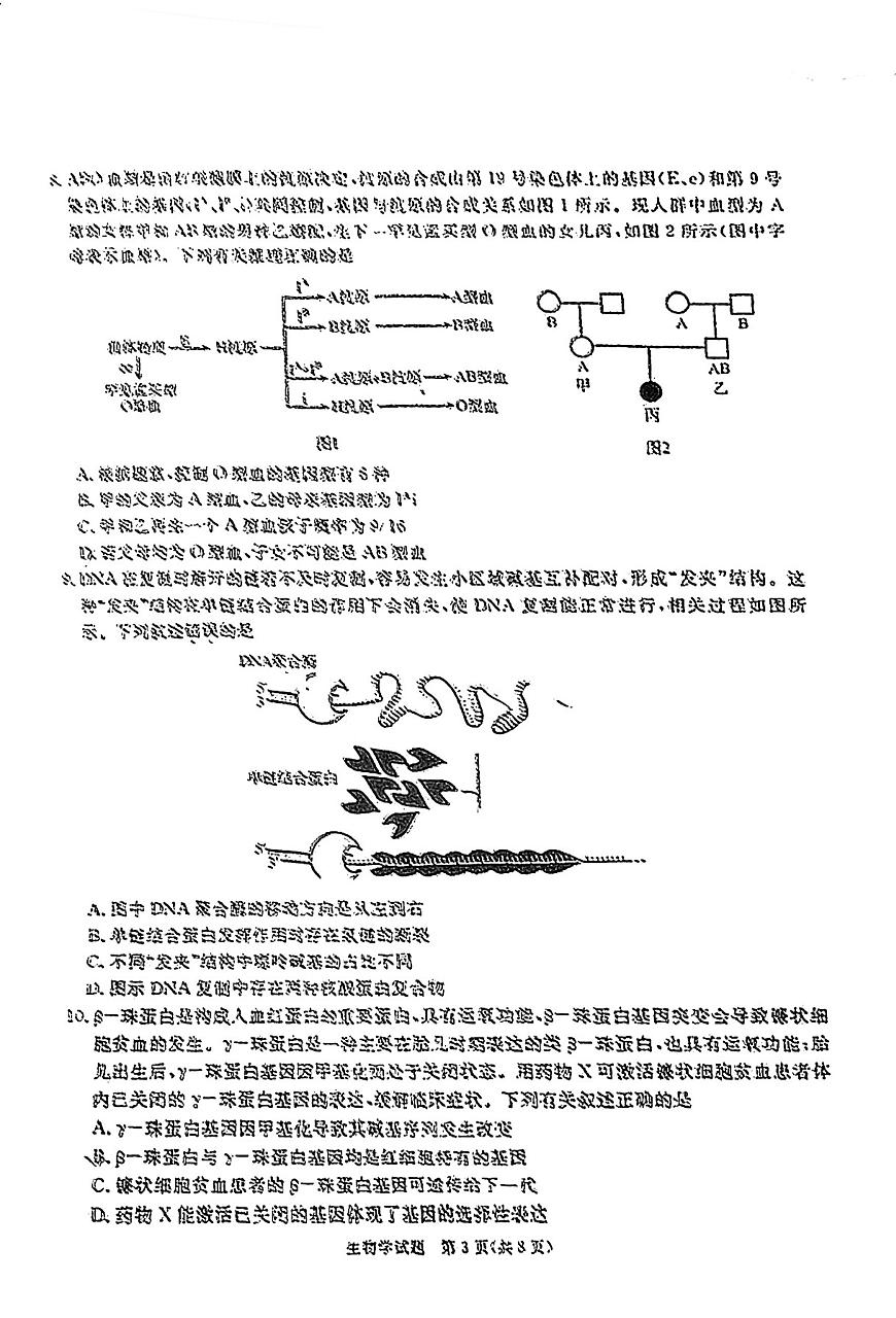 四川省教考联盟暨九市高2025届高三高考第一次诊断性复习考试-生物试题+答案第3页