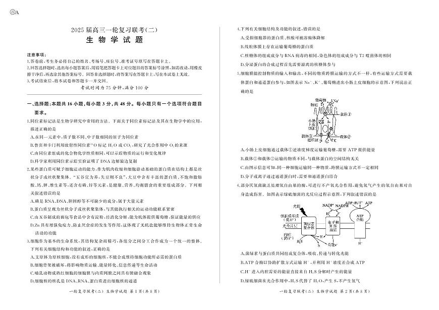 百师联盟2025届高三一轮复习联考（二）生物第1页