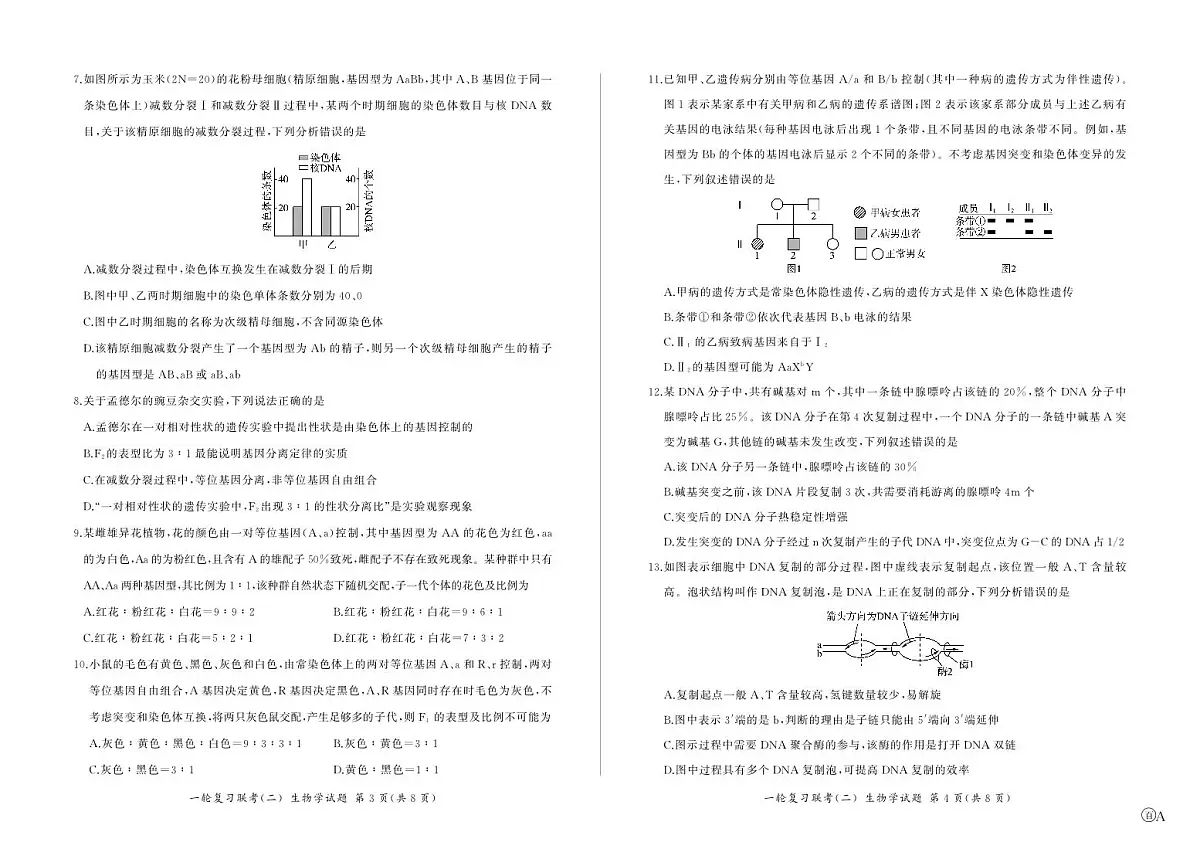 百师联盟2025届高三一轮复习联考（二）生物第2页