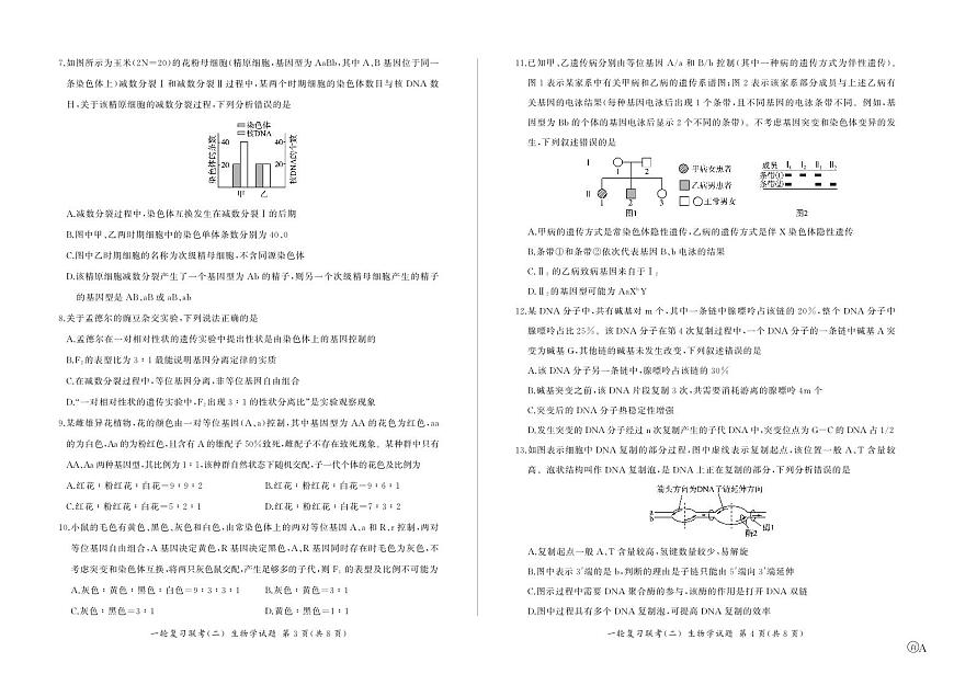 百师联盟2025届高三一轮复习联考（二）生物第2页