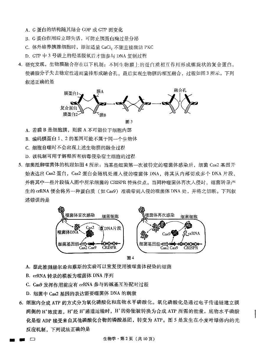 巴蜀四生物试题第2页
