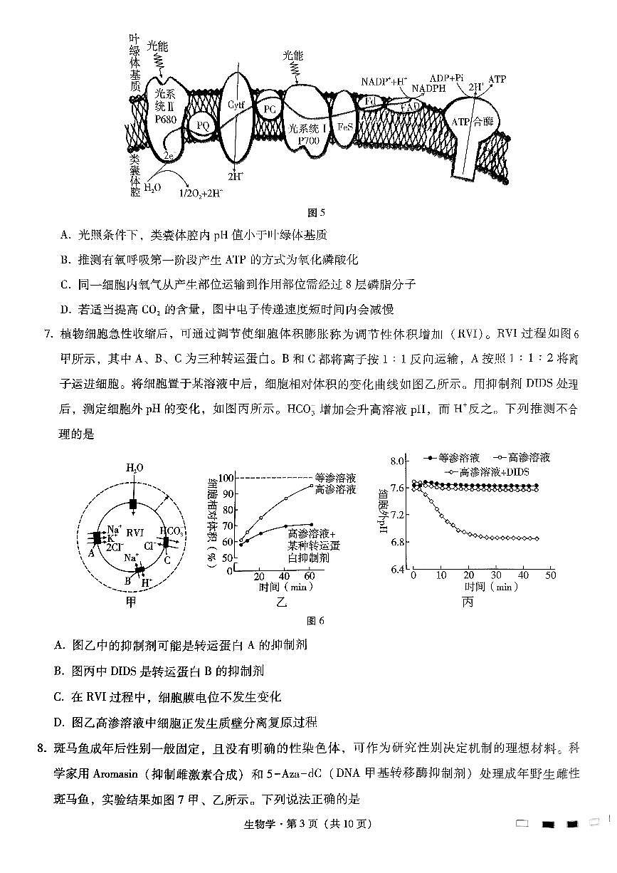 巴蜀四生物试题第3页