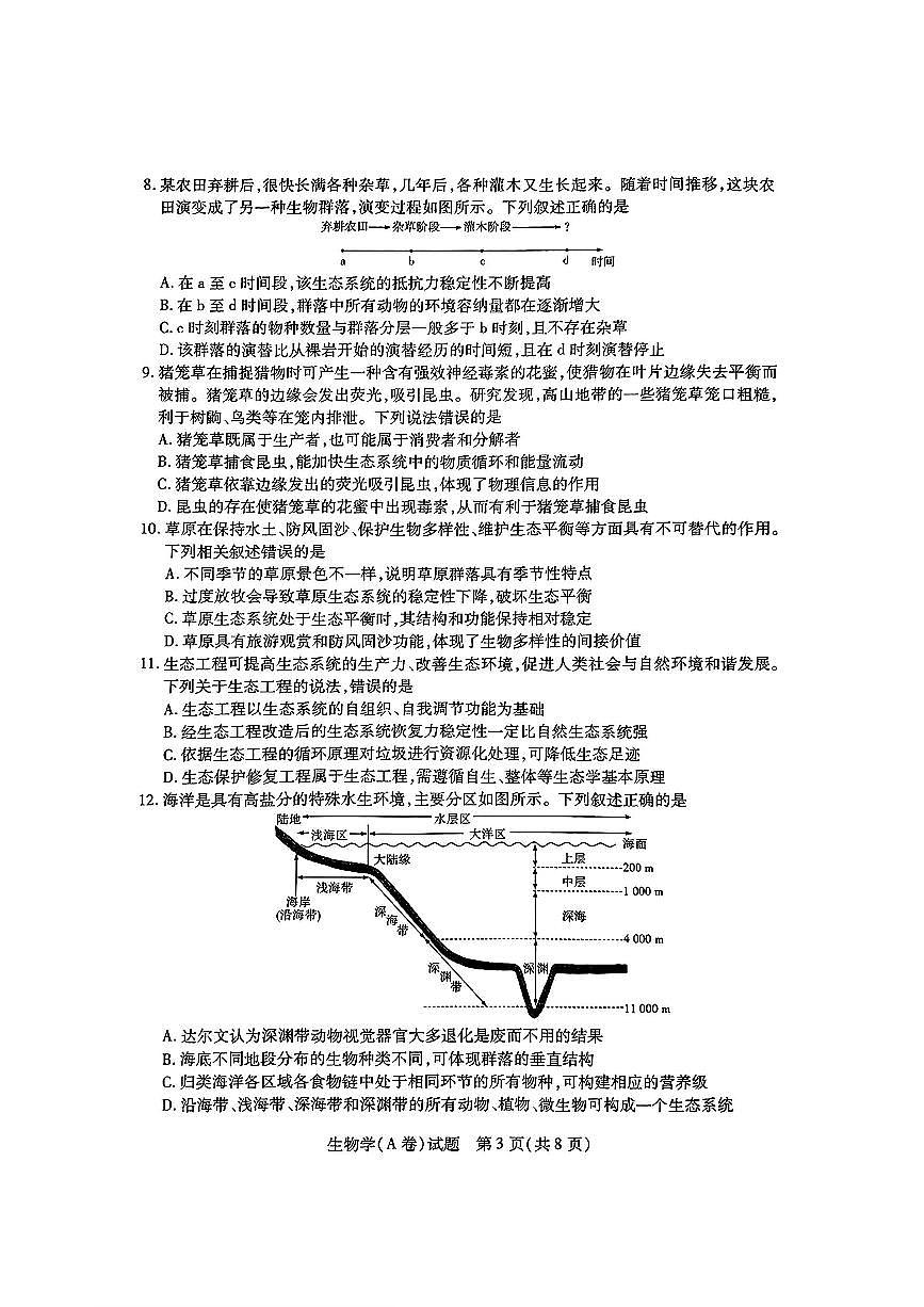 2024年河南天一大联考高中毕业班阶段性测试四 生物试题（含答案）第3页