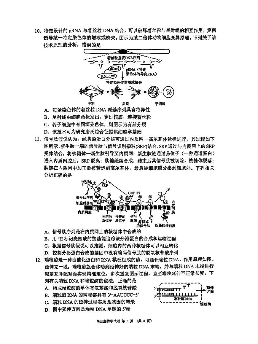 2024年四川成都蓉城名校联盟高三第一次联合性诊断性考试 生物试题（含答案）第3页