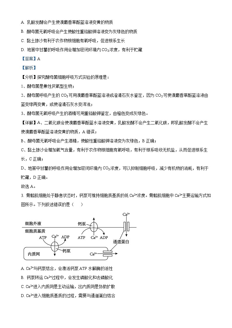 【九省联考】2024年1月普通高等学校招生考试适应性测试生物试题（安徽版） Word版含解析第2页