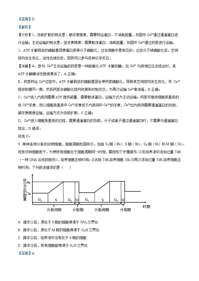 【九省联考】2024年1月普通高等学校招生考试适应性测试生物试题（安徽版） Word版含解析第3页