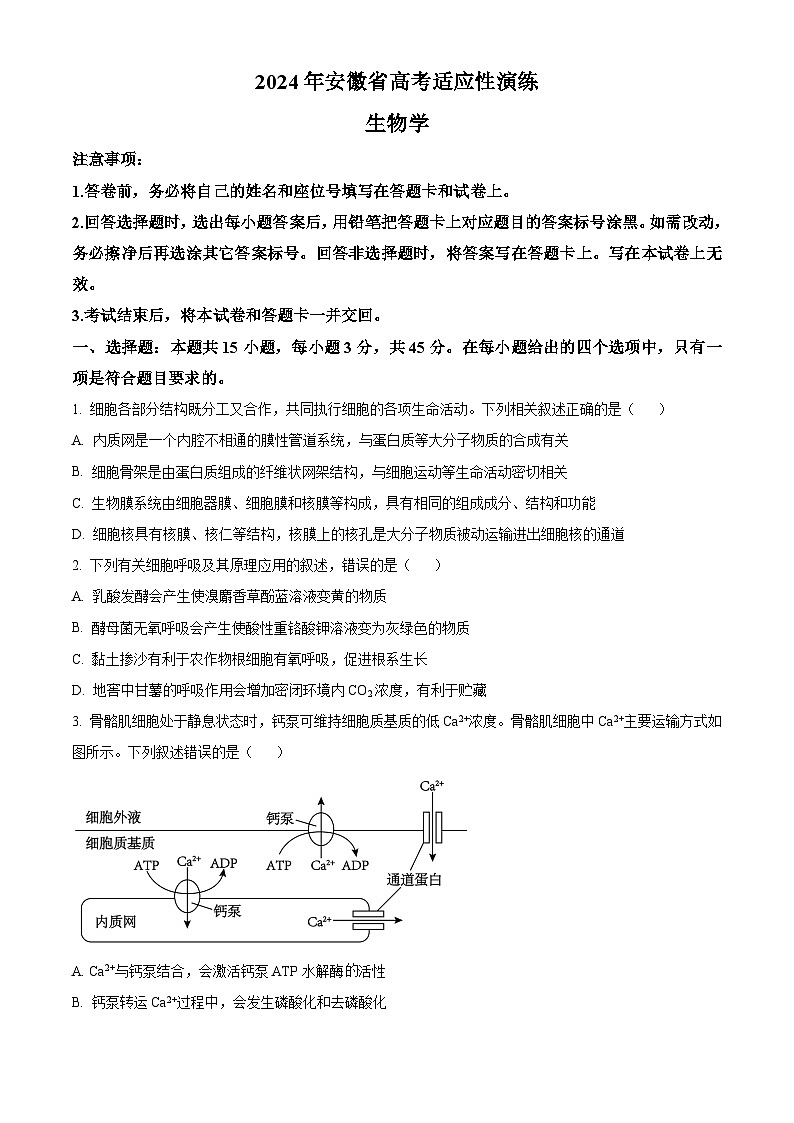 【九省联考】2024年1月普通高等学校招生考试适应性测试生物试题（安徽版） Word版无答案第1页