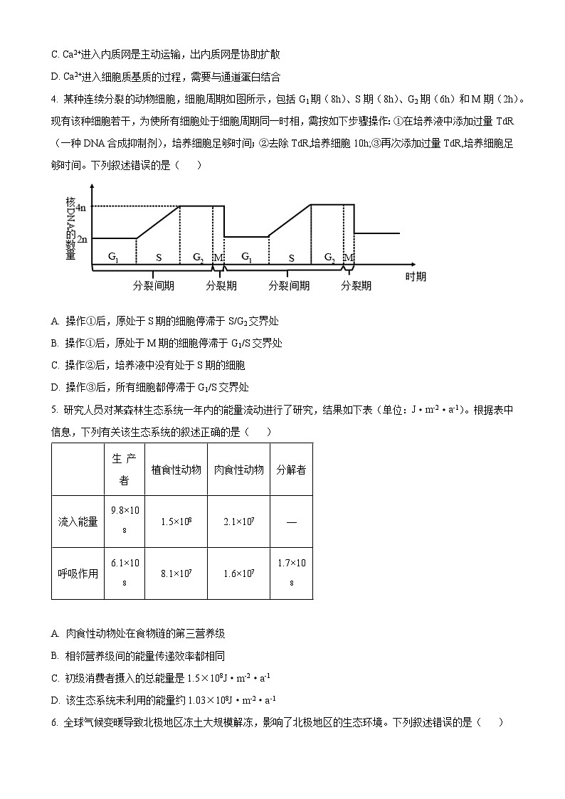 【九省联考】2024年1月普通高等学校招生考试适应性测试生物试题（安徽版） Word版无答案第2页