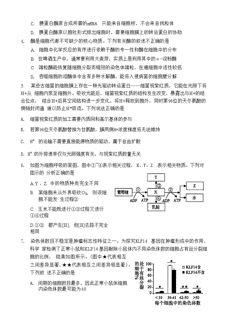 2025届湖北省十一校（襄阳五中、武汉二中、黄冈中学等）高三第二次联考 生物试题+答案解析第2页