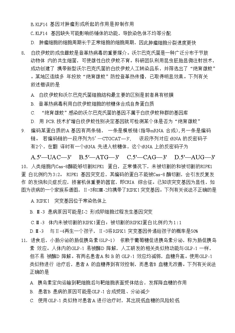 2025届湖北省十一校（襄阳五中、武汉二中、黄冈中学等）高三第二次联考 生物试题+答案解析第3页