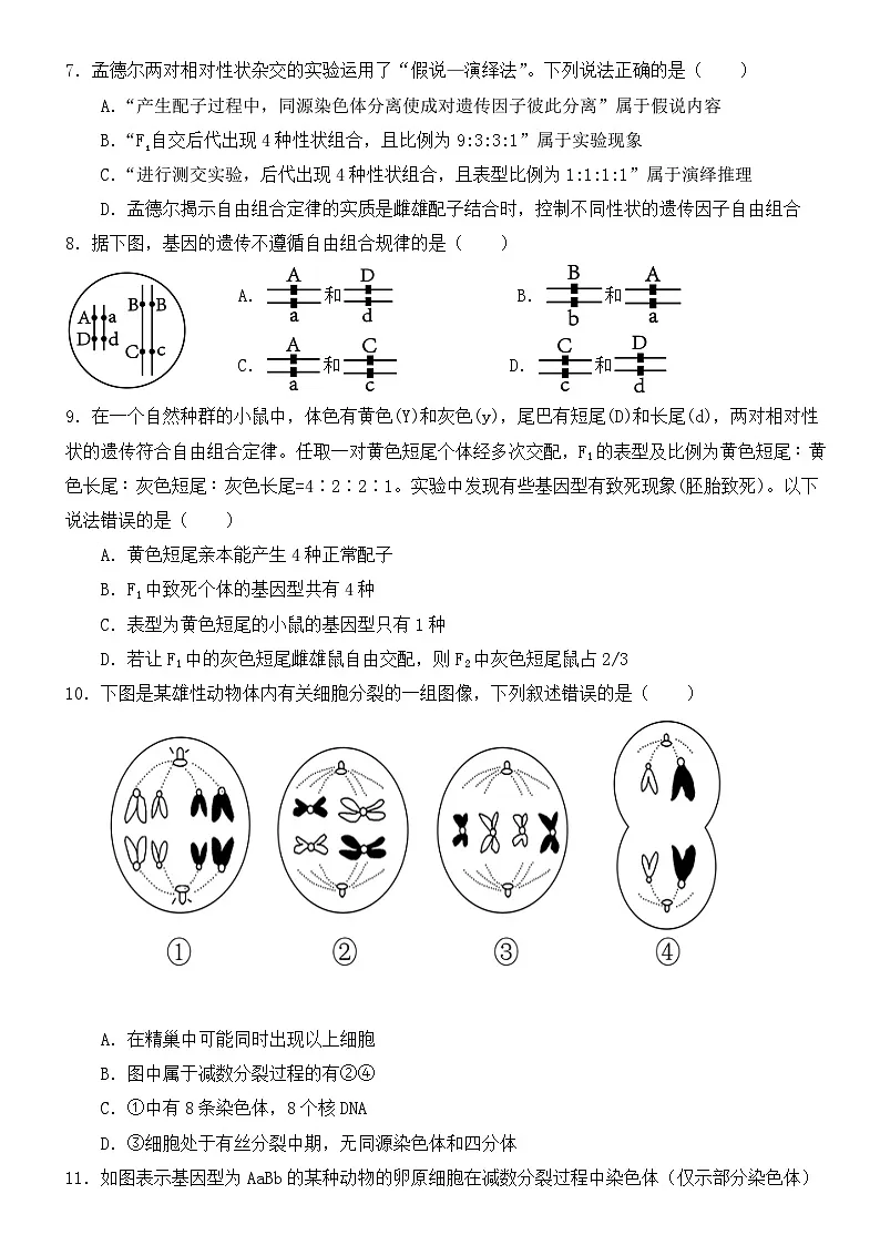 高一3月月考生物卷 (1)第2页
