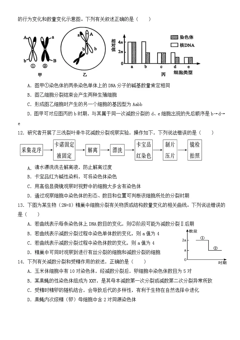 高一3月月考生物卷 (1)第3页
