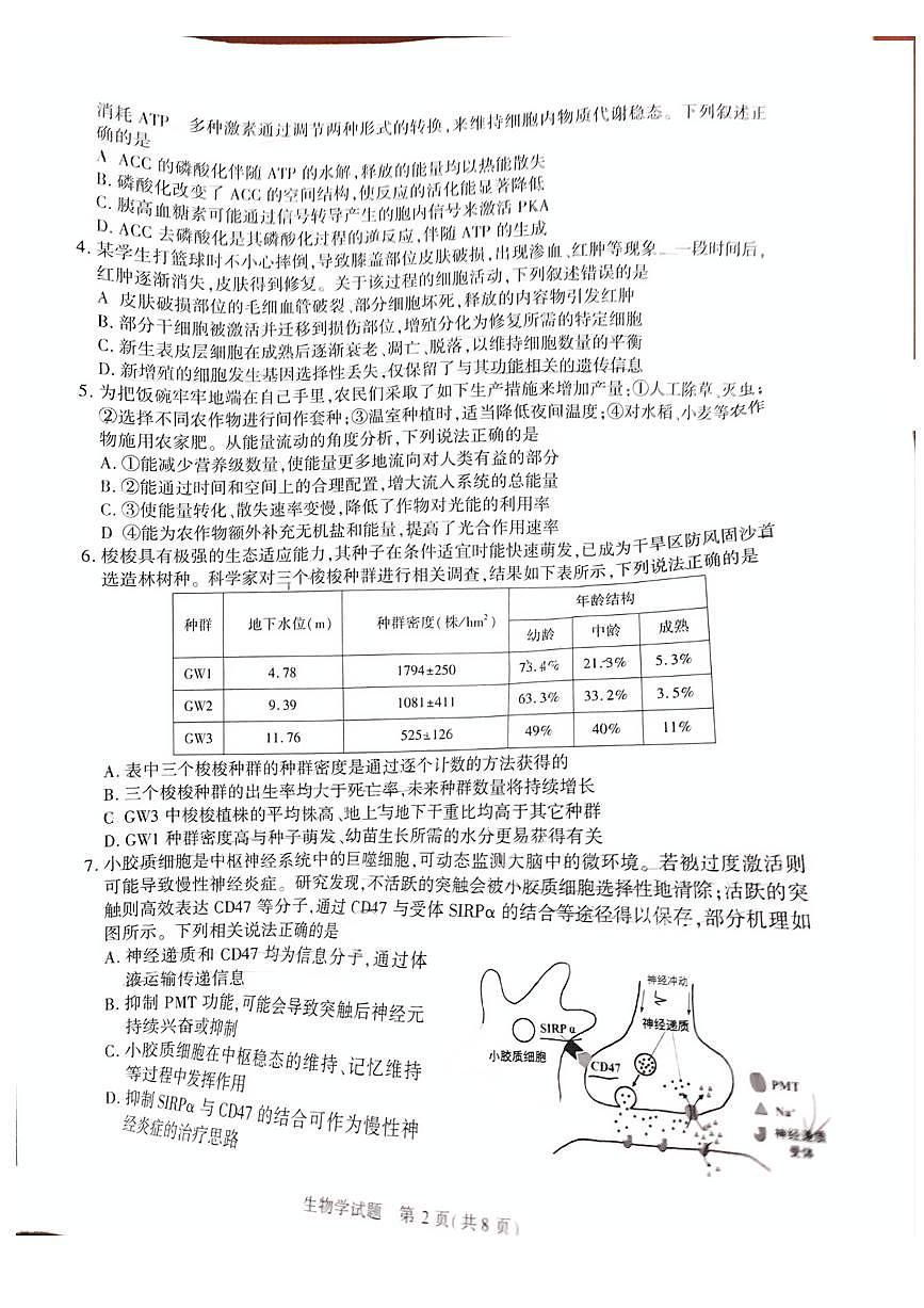 安徽省合肥市2025届高三高考模拟第二次教学质量检测-生物试题+答案第2页