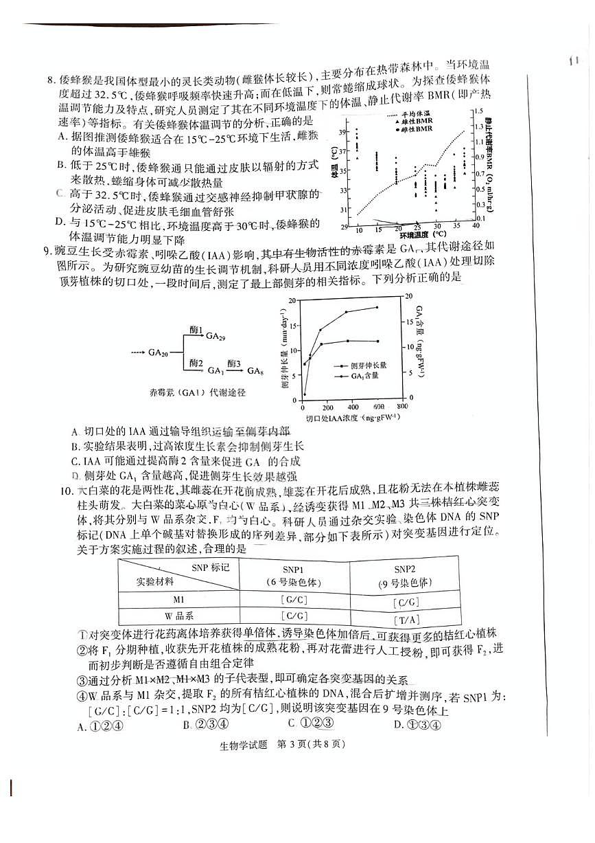 安徽省合肥市2025届高三高考模拟第二次教学质量检测-生物试题+答案第3页