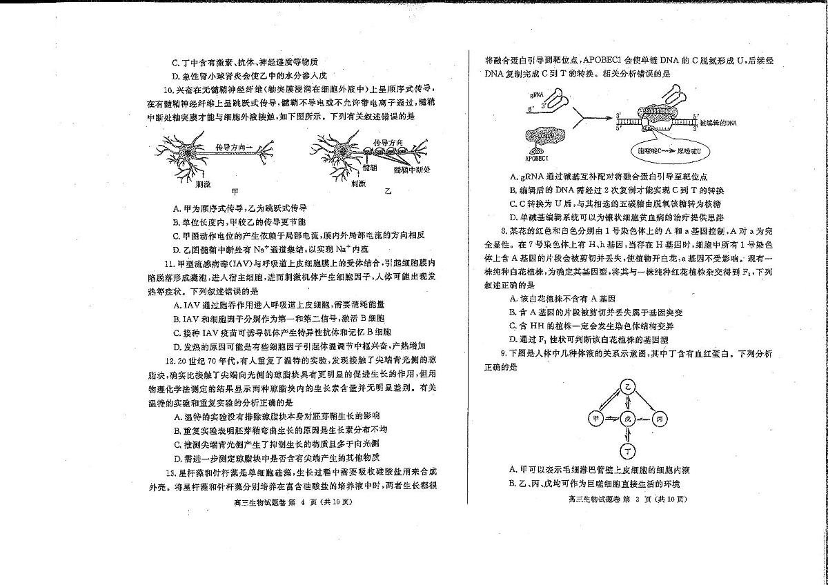 河南省郑州市2025届高三高考模拟第二次模拟考-生物试题+答案第2页