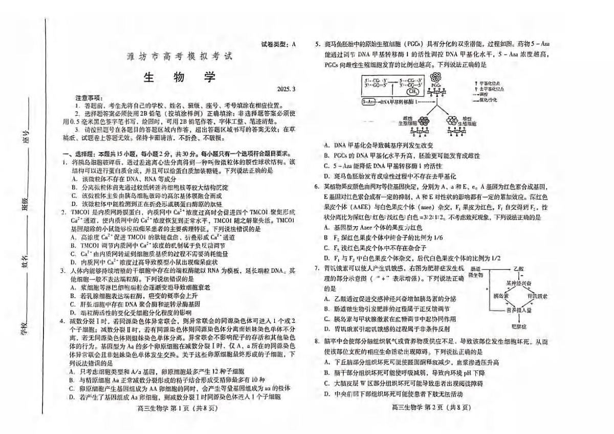 生物丨山东省潍坊市2025届高三下学期3月第一次模拟生物试卷及答案第1页