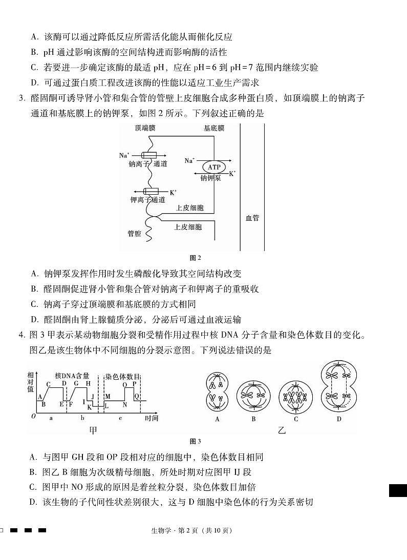 生物丨云南省三校联考2025届高三下学期3月高考备考实用性联考卷（七）生物试卷及答案第2页