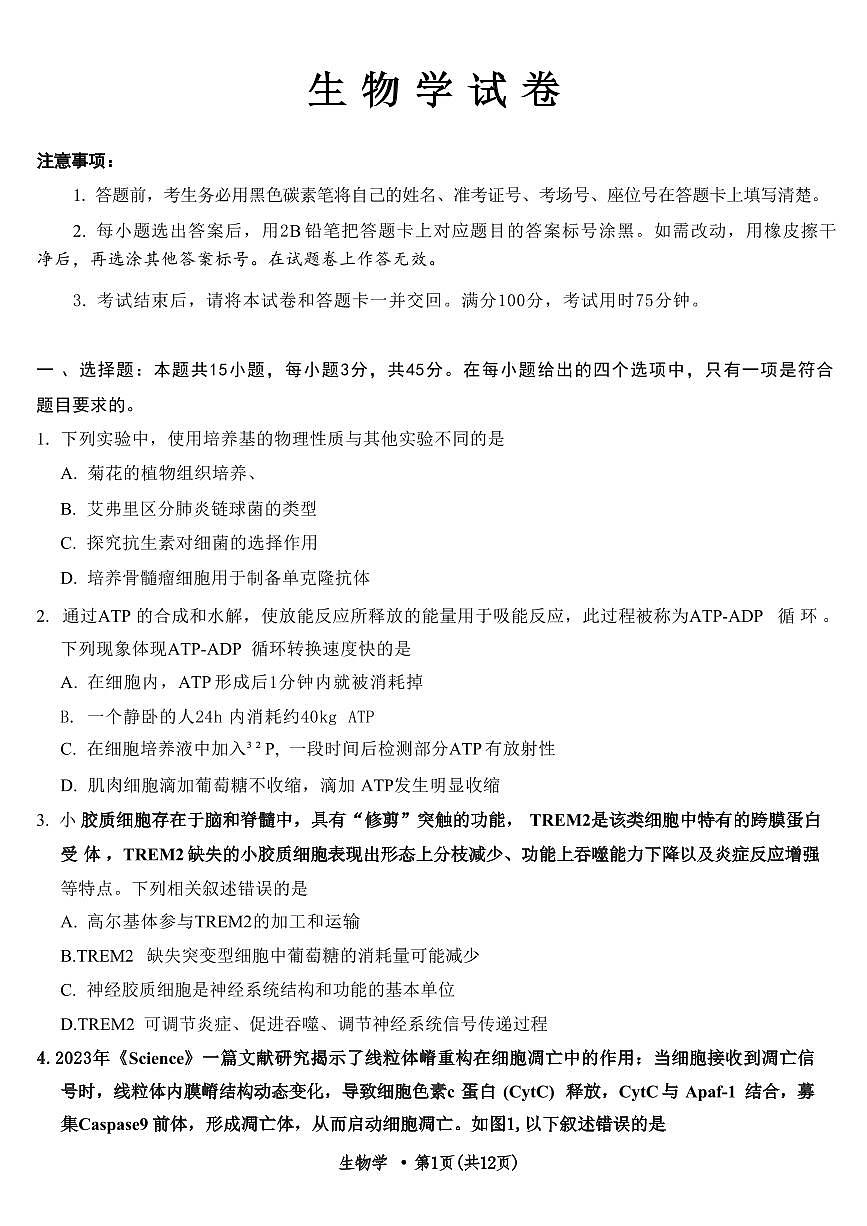 生物丨重庆市第八中学2025届高三下学期3月适应性月考卷（六）生物试卷及答案第1页