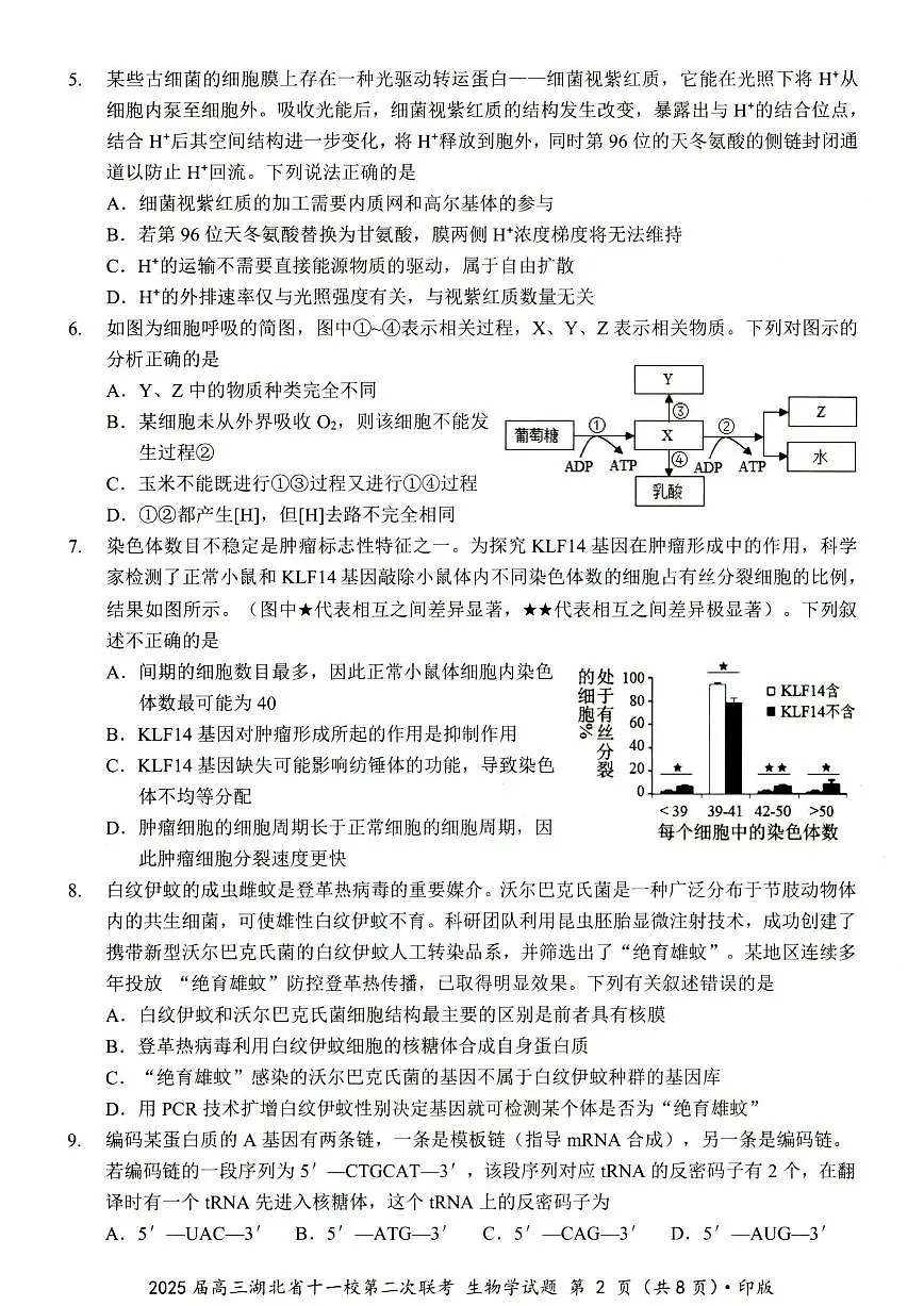 生物第2页