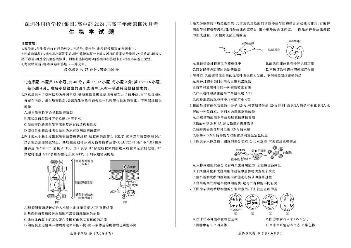 2024届广东省百师联盟高三上(12月考)-生物试题（含答案）第1页