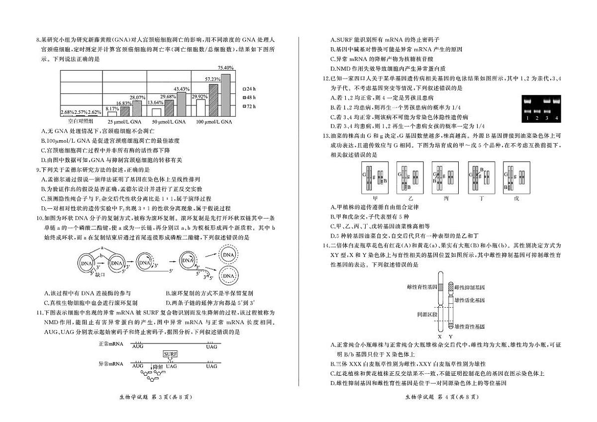 2024届广东省百师联盟高三上(12月考)-生物试题（含答案）第2页