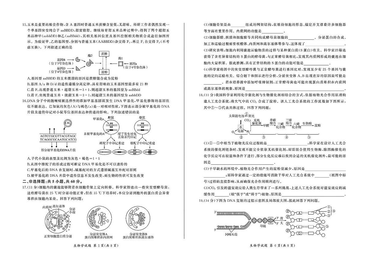 2024届广东省百师联盟高三上(12月考)-生物试题（含答案）第3页