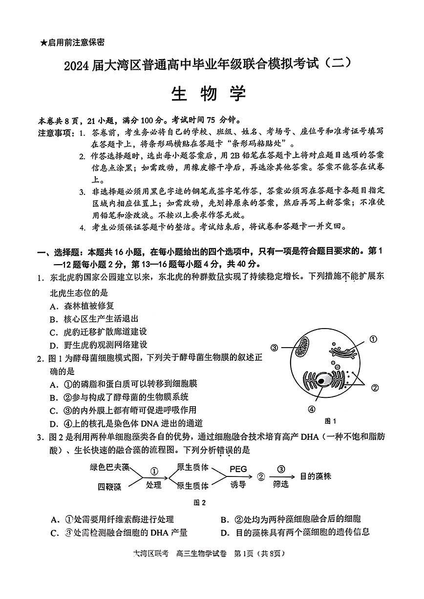 2024届广东省大湾区高三第二次模拟-生物试卷（含答案）第1页
