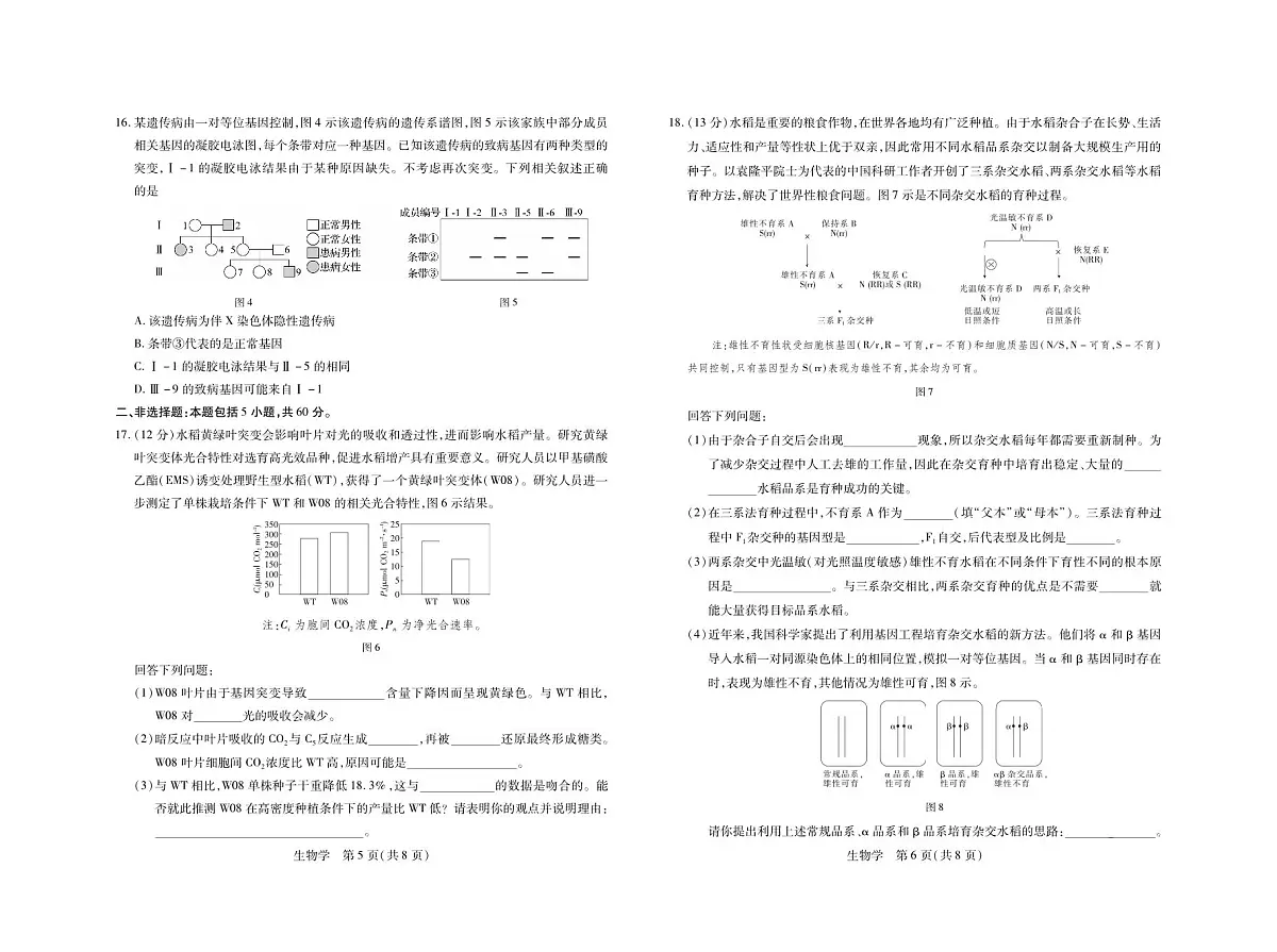 2024届广东省高三上学期11月统一调研测试-生物试题（含答案）第3页