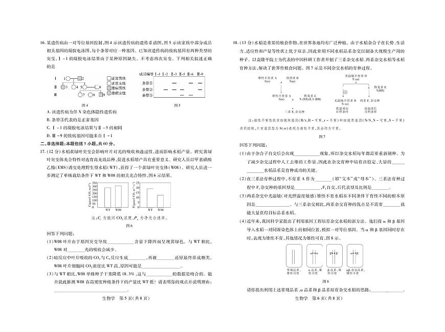 2024届广东省高三上学期11月统一调研测试-生物试题（含答案）第3页
