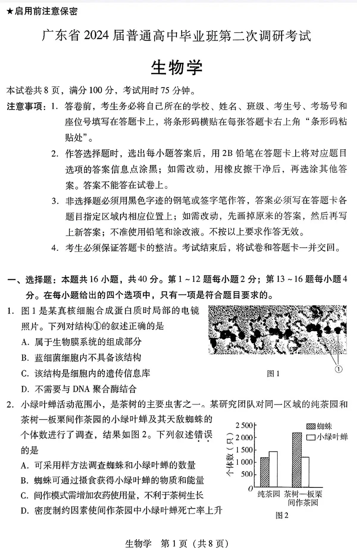 2024届广东省高三上学期第二次调研考试-生物试题（含答案）第1页