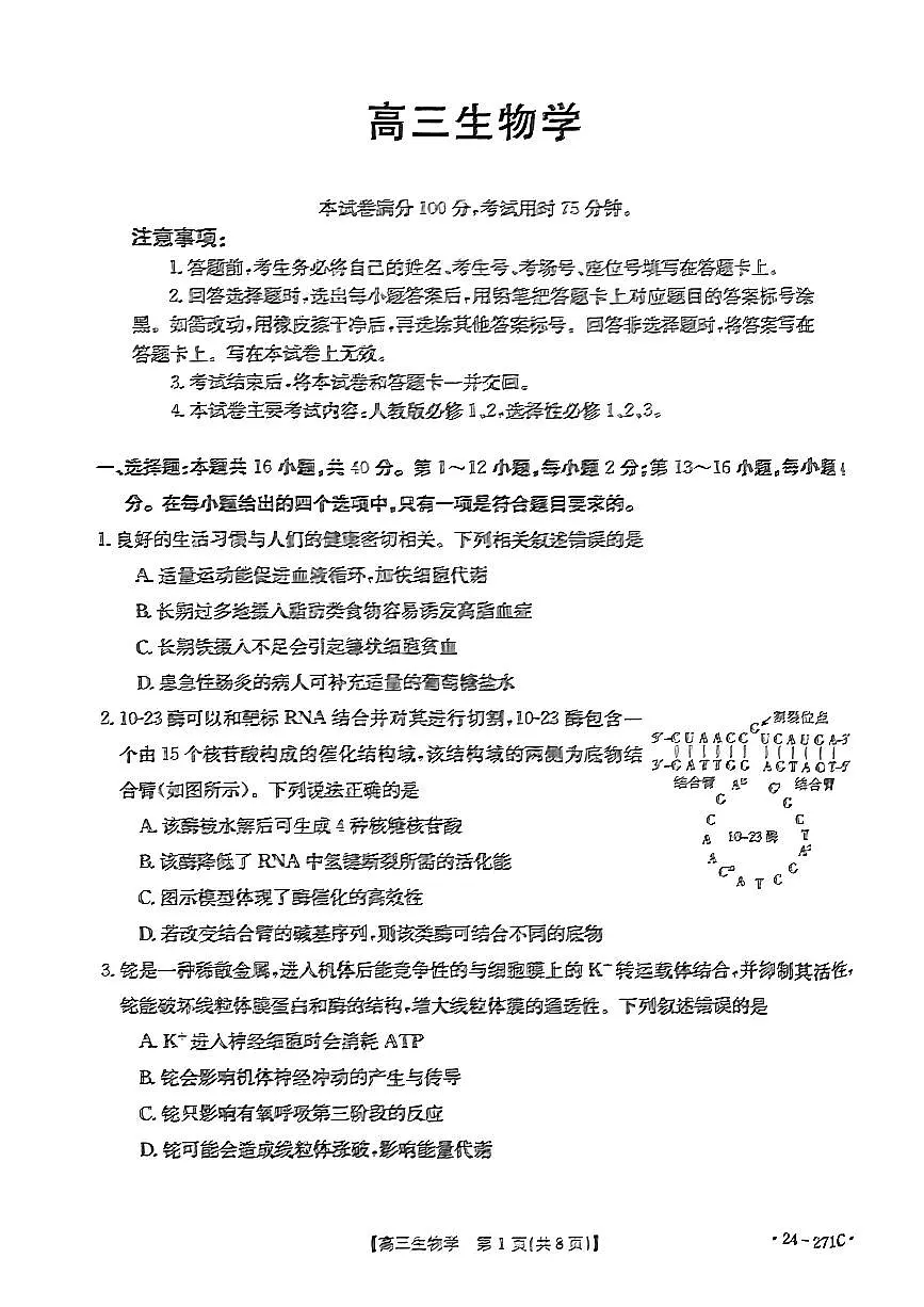 2024届广东省高三上学期期末联考试卷(1月)-生物试题（含答案）第1页