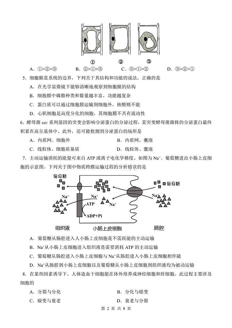2024届广东省广州执信中学高三上学期开学考试-生物试题（含答案）第2页