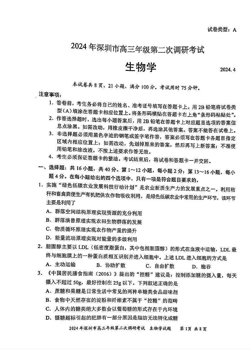 2024届广东省深圳市高三下学期第二次调研-生物试卷（含答案）第1页