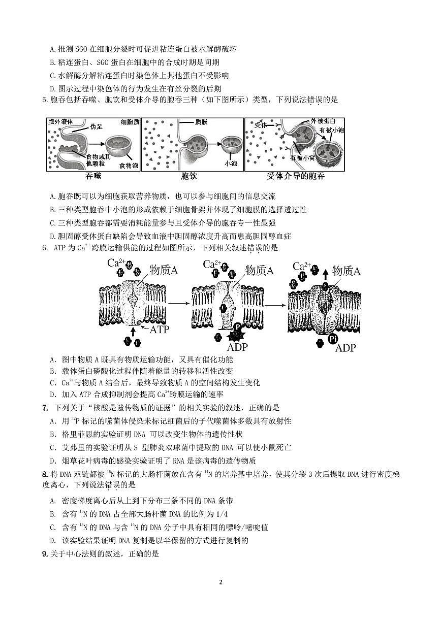 2024届广东省惠州市高三第二次调研考试-生物试题（含答案）第2页