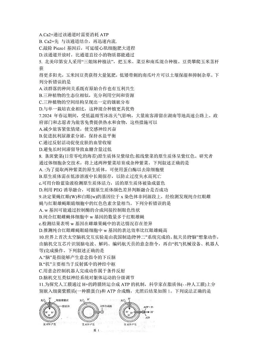 2024届广东省江门市高三一模-生物试卷（含答案）第2页