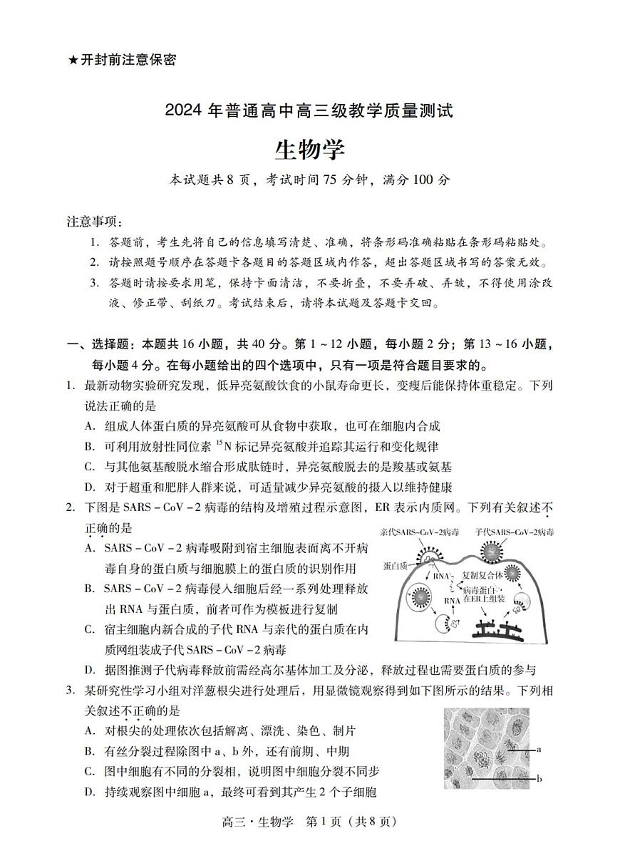 2024届广东省汕尾市高三上学期1月期末试卷-生物试题（含答案）第1页