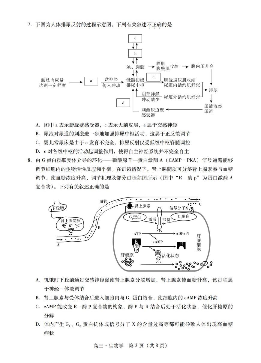 2024届广东省汕尾市高三上学期1月期末试卷-生物试题（含答案）第3页