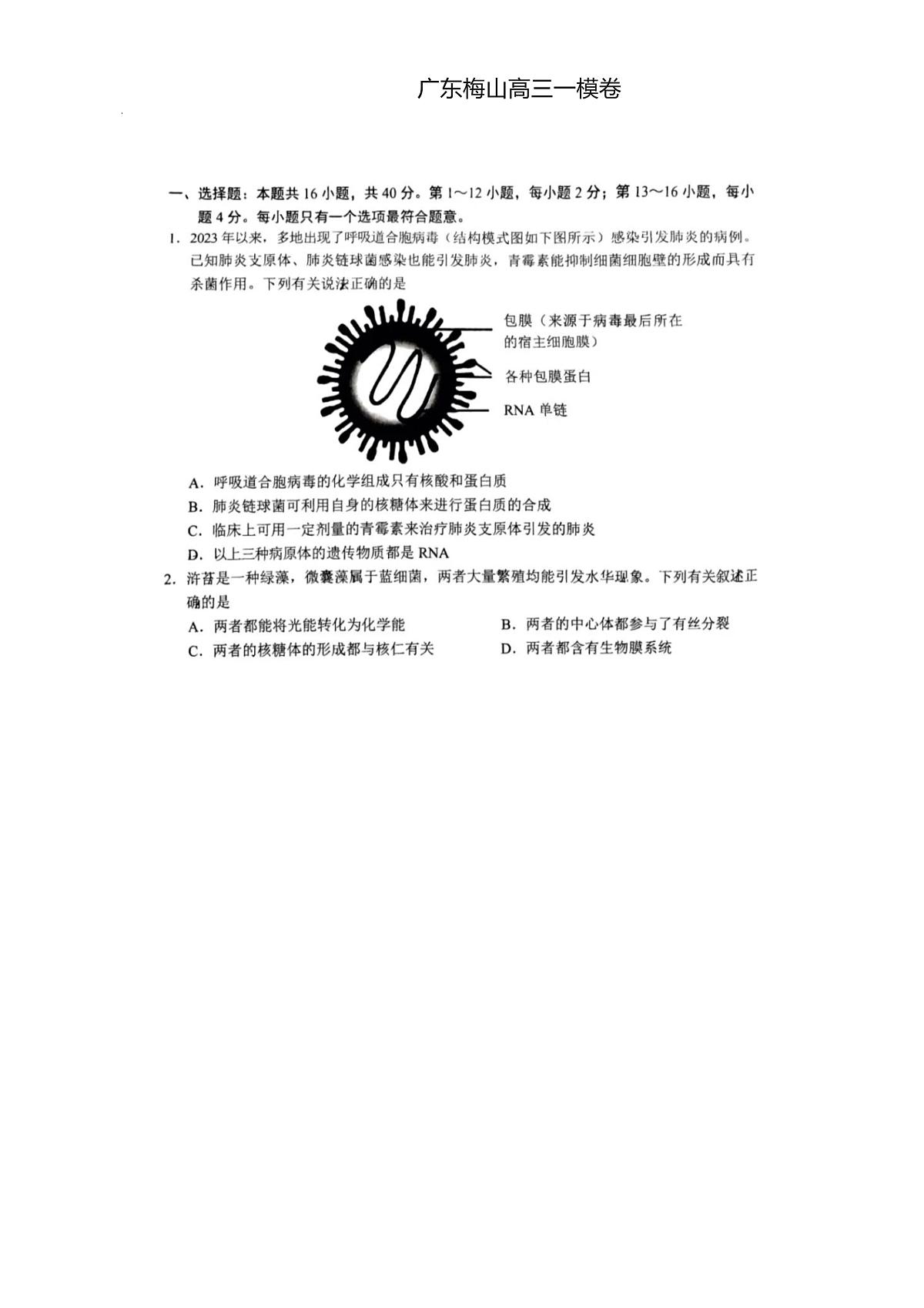 2024届广东省梅州市一模高三下(2月)-生物试题（含答案）第1页