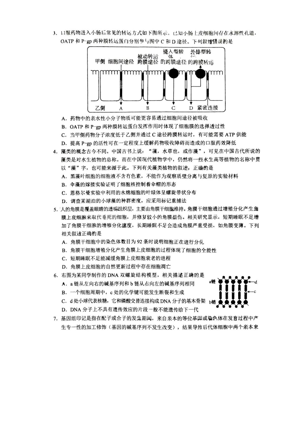 2024届广东省梅州市一模高三下(2月)-生物试题（含答案）第2页