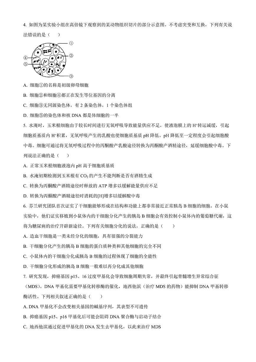 2024届广东省汕头市潮阳实验学校高三上学期期中试卷-生物试题（含答案）第2页