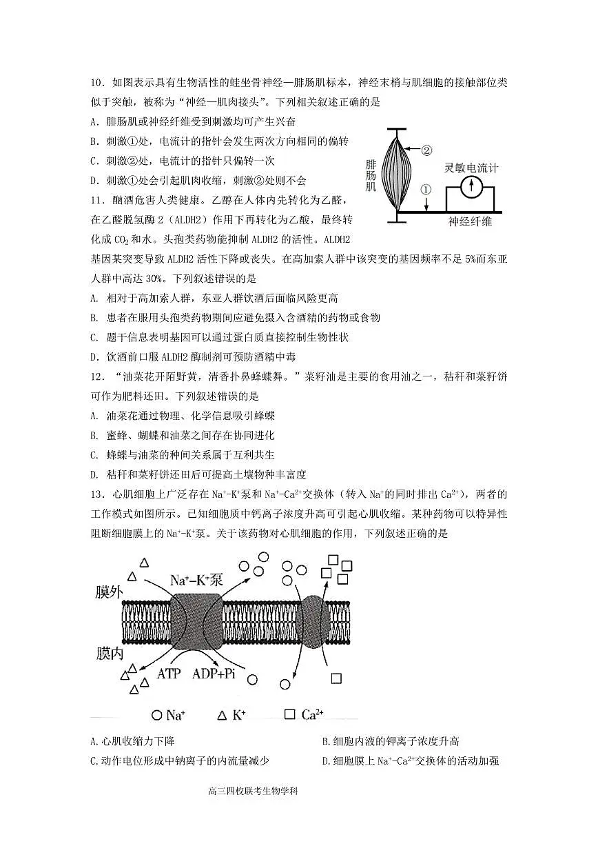 2024届广东省四校高三上学期联考试卷-生物试题（含答案）第3页