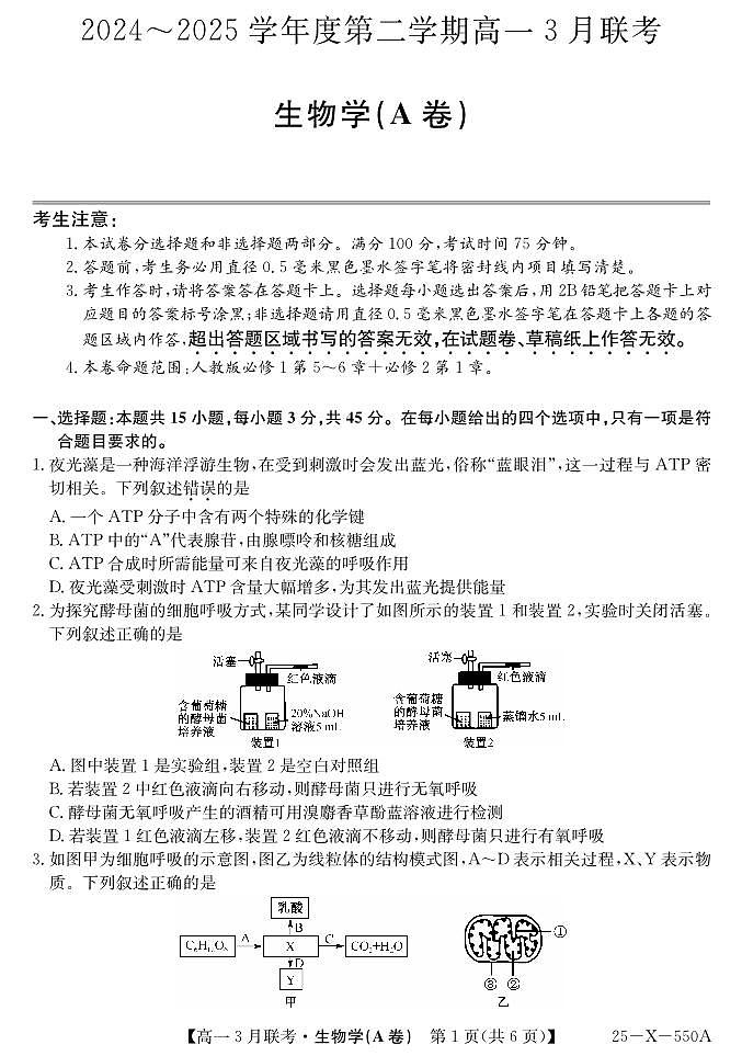 安徽省县中联盟2024-2025学年高一下学期3月联考生物（A卷）试题（PDF版附解析）第1页