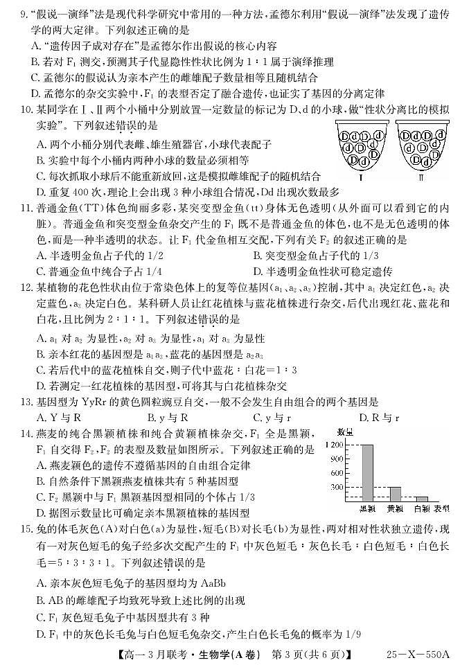 安徽省县中联盟2024-2025学年高一下学期3月联考生物（A卷）试题（PDF版附解析）第3页
