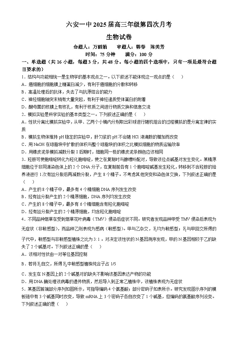 安徽省六安第一中学2024-2025学年高三上学期11月月考生物+答案第1页