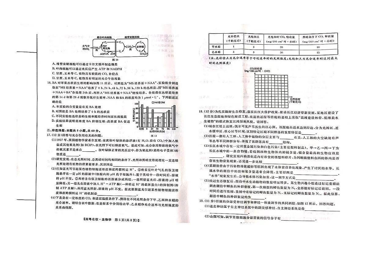 2024届广东省南粤名校高三学科综合素养评价2月联考试卷-生物试题（含答案）第3页