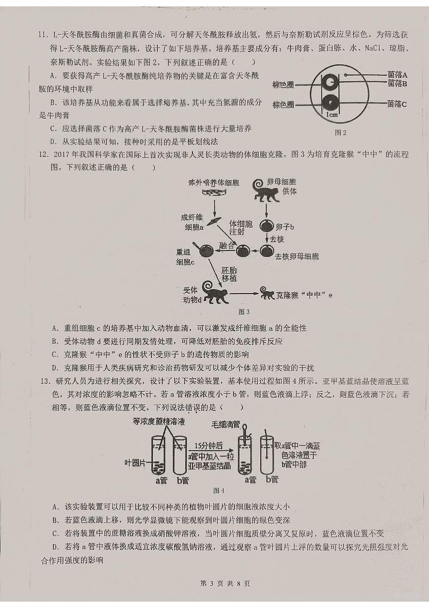 2024届广东省六校联考高三第四次联考试卷(2月)-生物试题（含答案）第3页