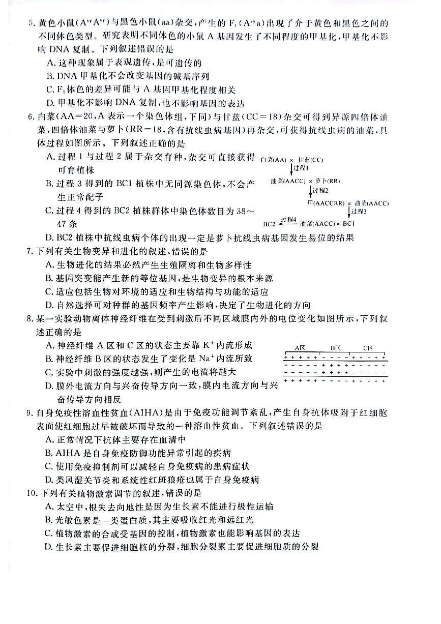 2024—2025学年河南豫西重点高中高三下学期3月联考 生物试卷第2页