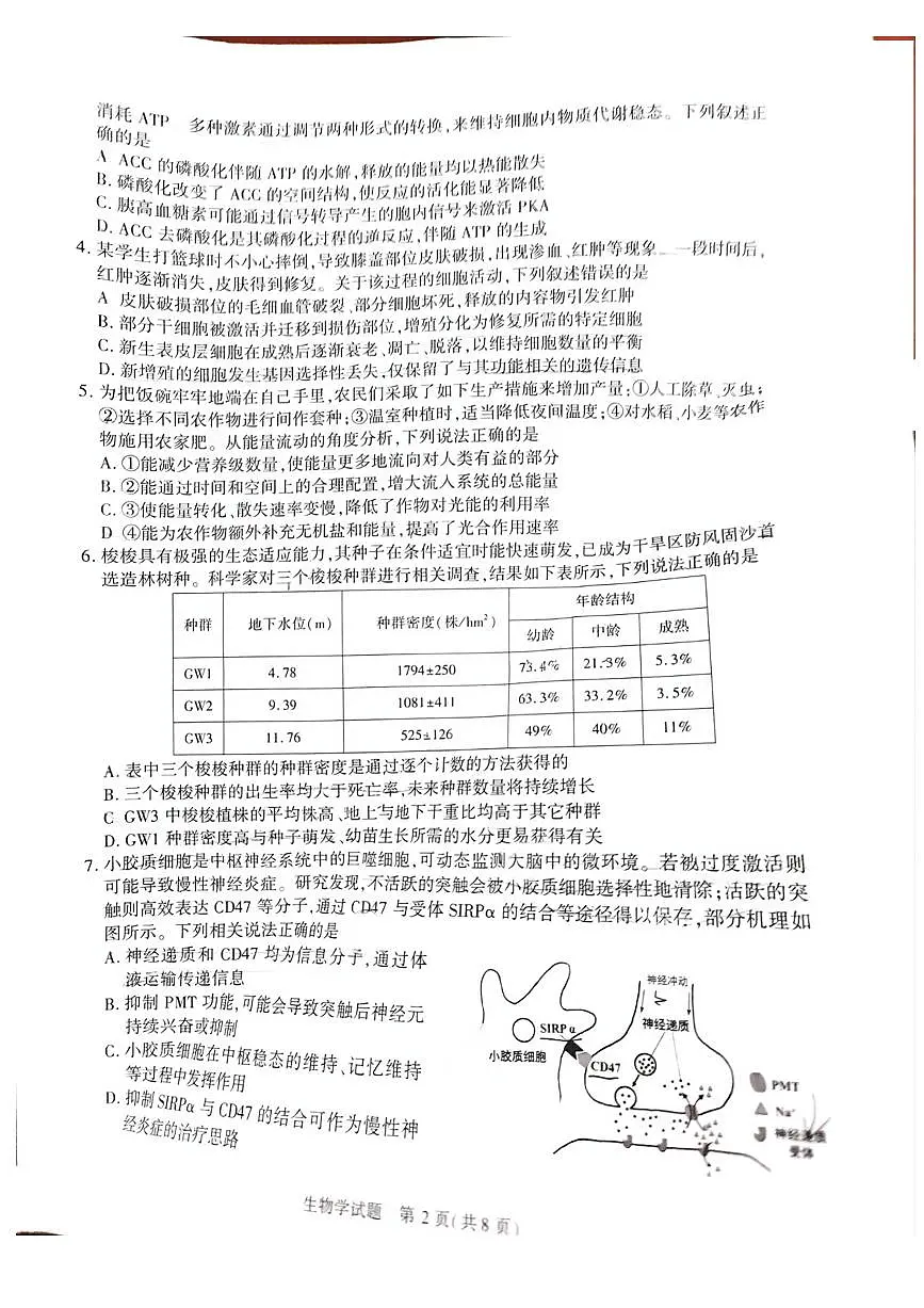 安徽省合肥市2025届高三下学期3月考第二次教学质量检测-生物试题+答案第2页