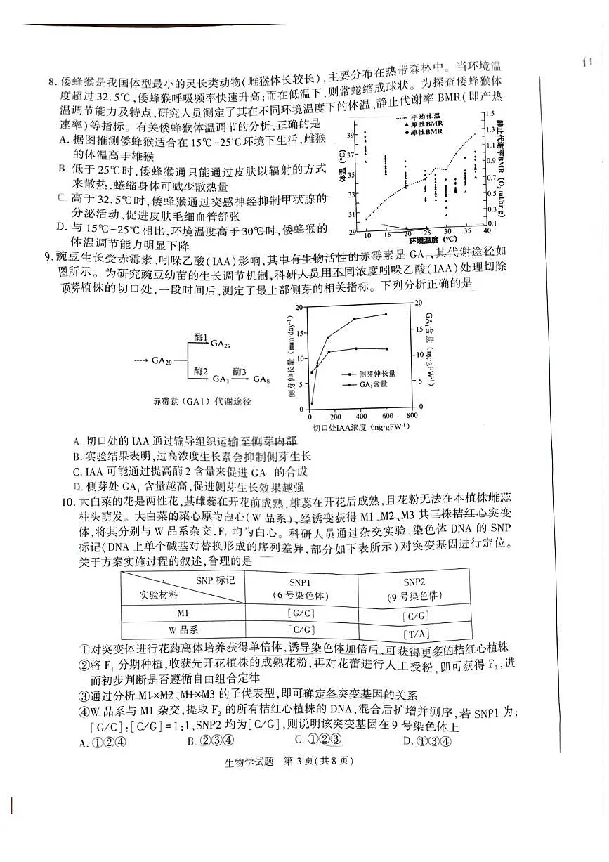 安徽省合肥市2025届高三下学期3月考第二次教学质量检测-生物试题+答案第3页